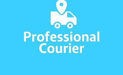Professional Courier Franchise Cost in India: Investment & Profit Margin