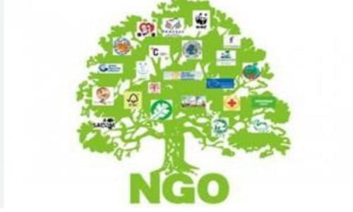 NGOs