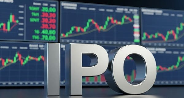 Turtlemint IPO: Understanding Allotment Status and Investor Participation